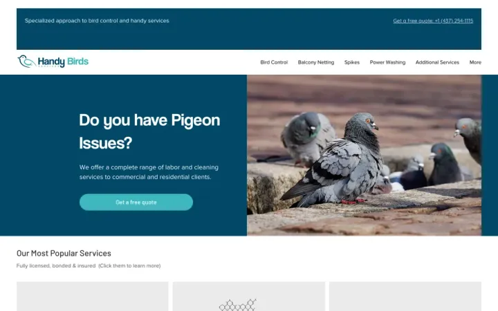 Handy Bird Services website on a laptop